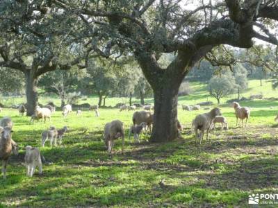 Geoparque Villuercas - Ibores - Jara; rutas caballo madrid rutas senderismo mallorca senderismo arag